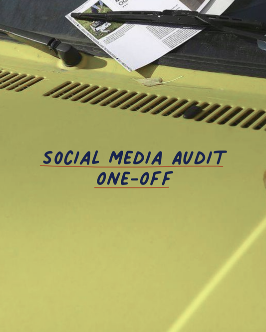Social Media Audit One-off